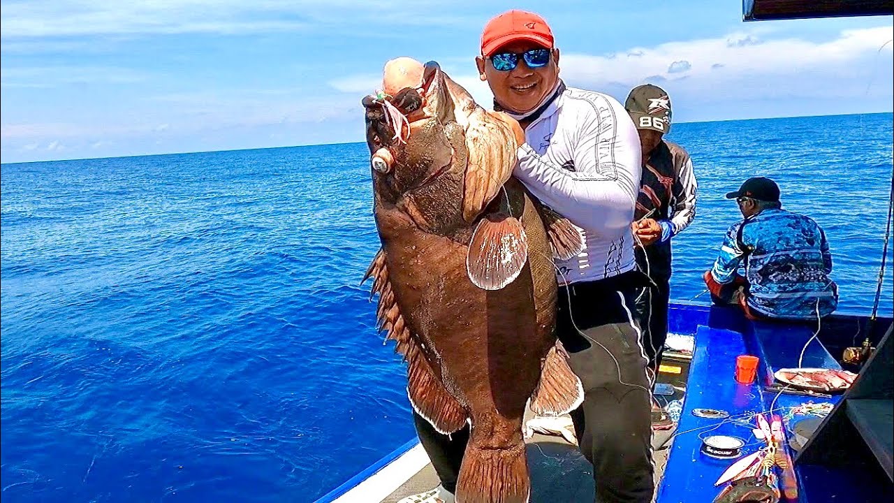 PESTA STRIKE SUPER BABON DIHARI TERAKHIR DISPOT JURASSIC PARK || KM SAMSON || MAMUJU SULAWESI BARAT.