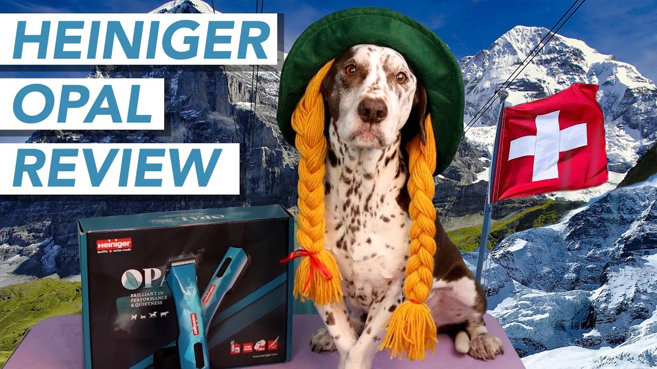 HEINIGER OPAL REVIEW: PROS AND CONS 2021