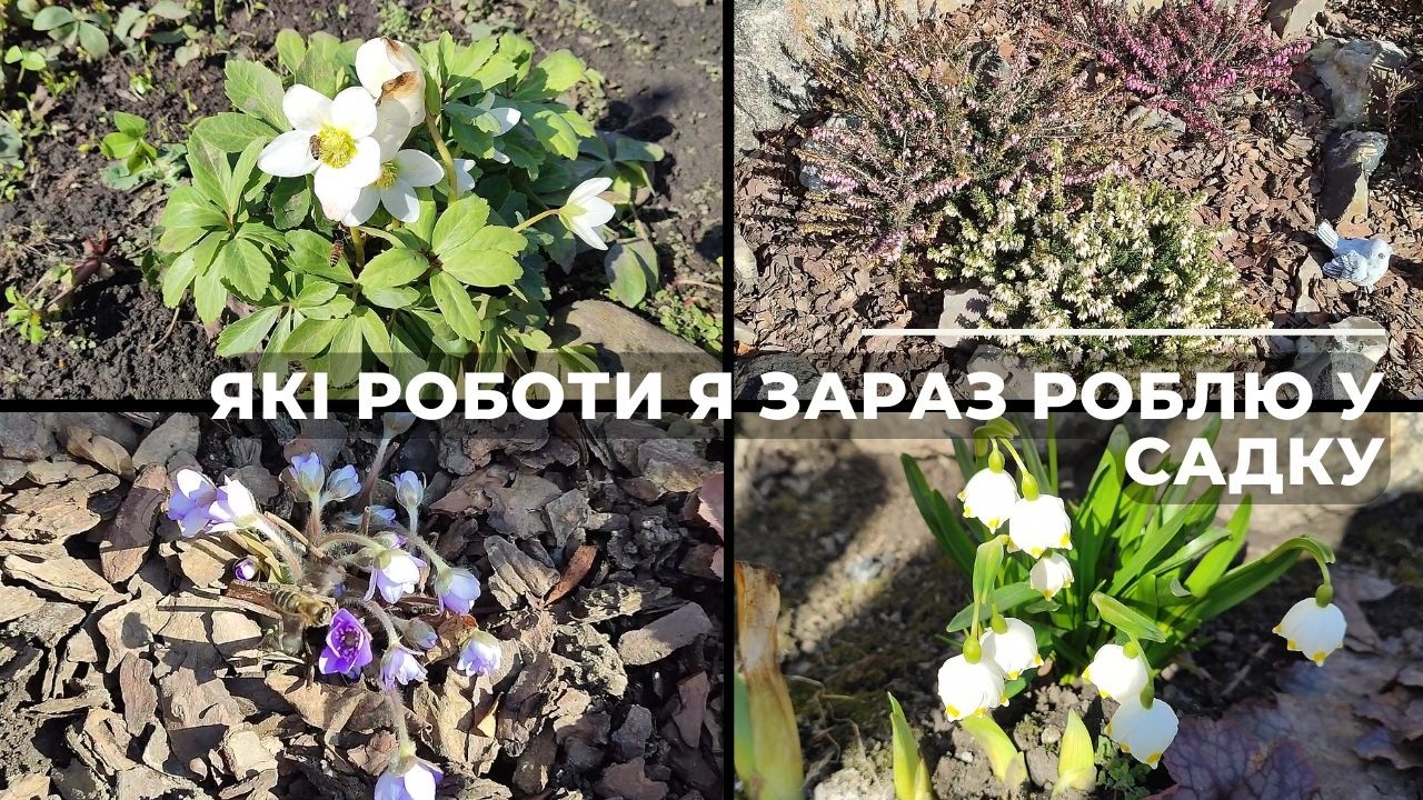 Які роботи зараз роблю у садку