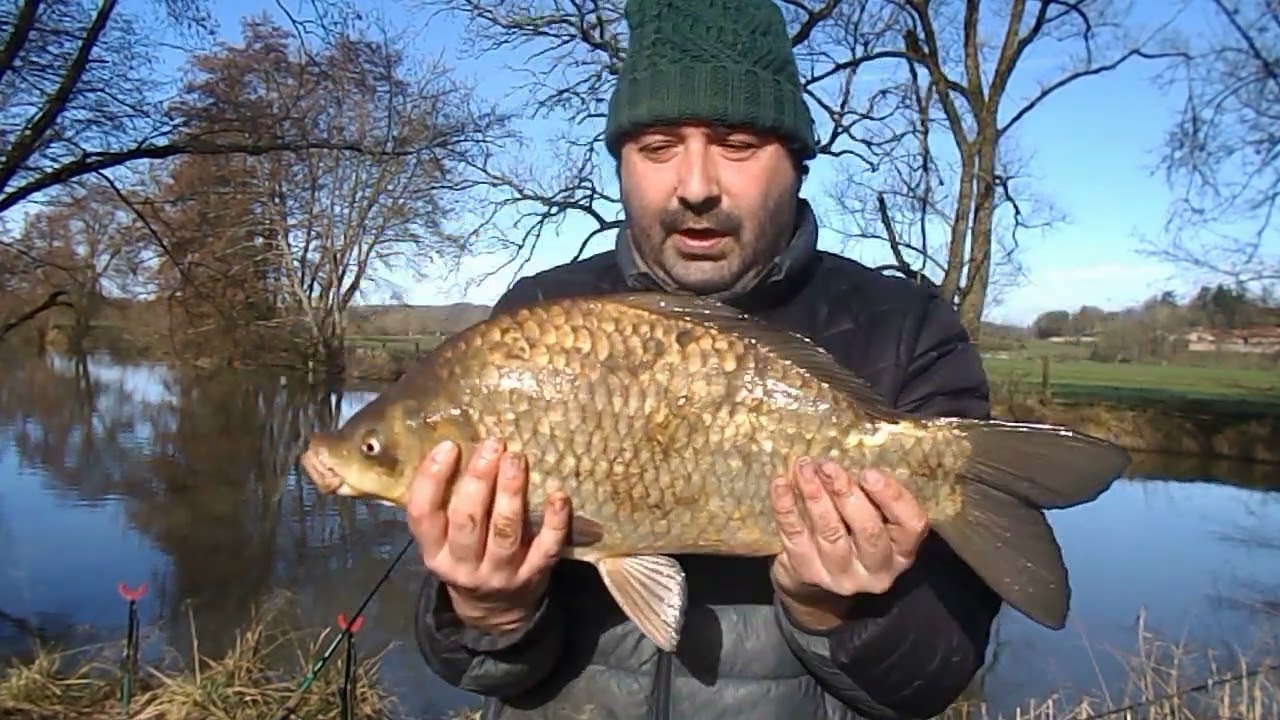 pêche hivernale de folie au feeder + diverses explications