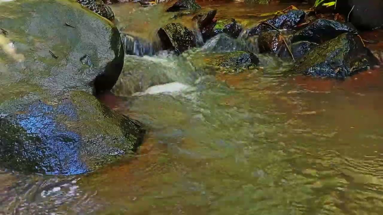 sound therapy of river water flowing so clear