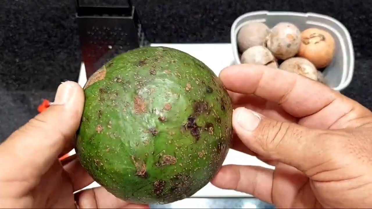 Nunca mais adube com caroço de abacate de forma errada