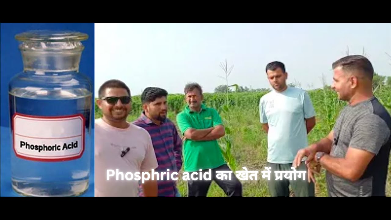 215- Kisan karyashala : Phosphoric acid/फॉस्फोरिक एसिड क्या है ? इसके प्रयोग से खेत को सक्रिय करना |