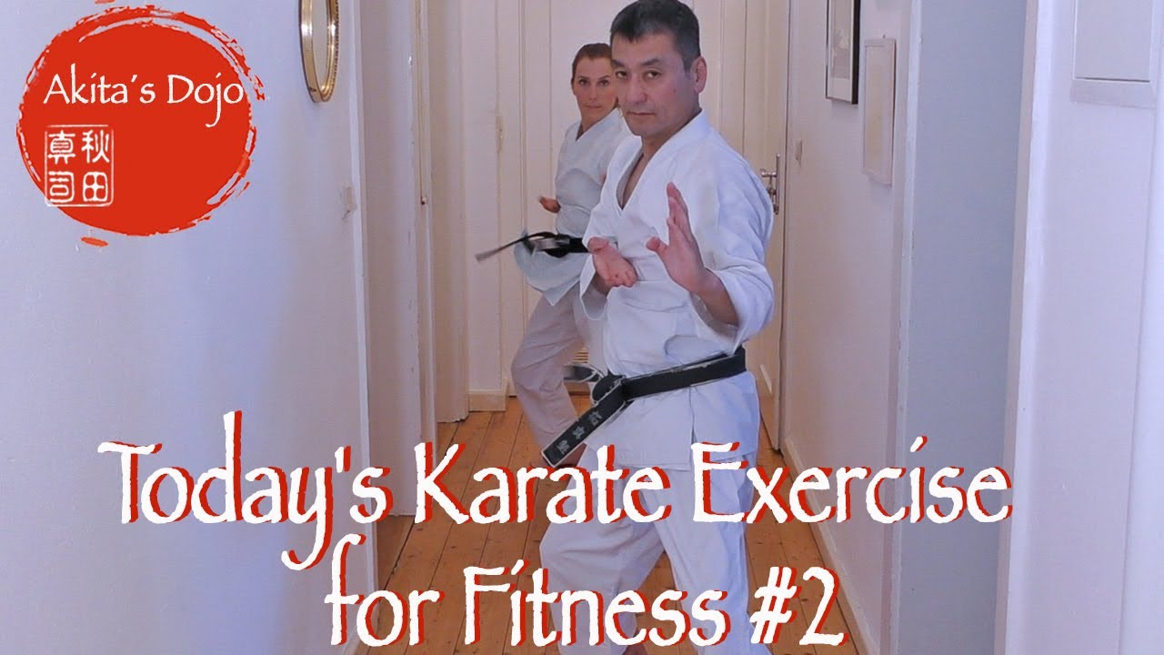 Today's Karate Exercise for Fitness #2   今日の空手の稽古【Akita's Karate Video】   HD 1080p