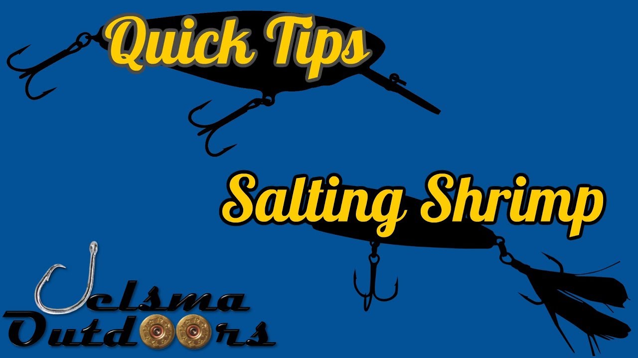 BEST BAIT EVER Salted Shrimp DIY How To