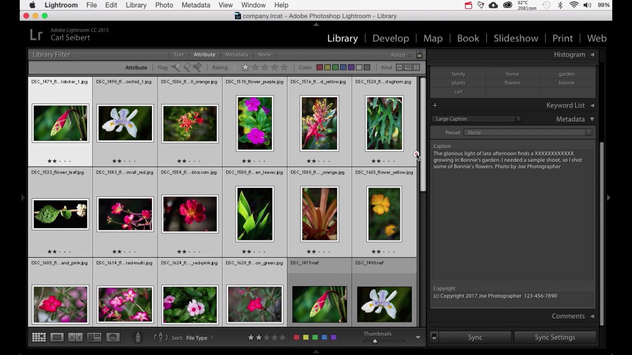 Photo metadata: How much should I add? Examples in Lightroom and Photo Mechanic