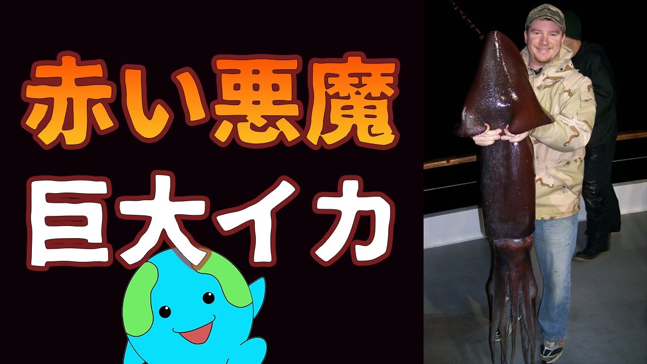 巨大生物アメリカオオアカイカが危険すぎる【解説】