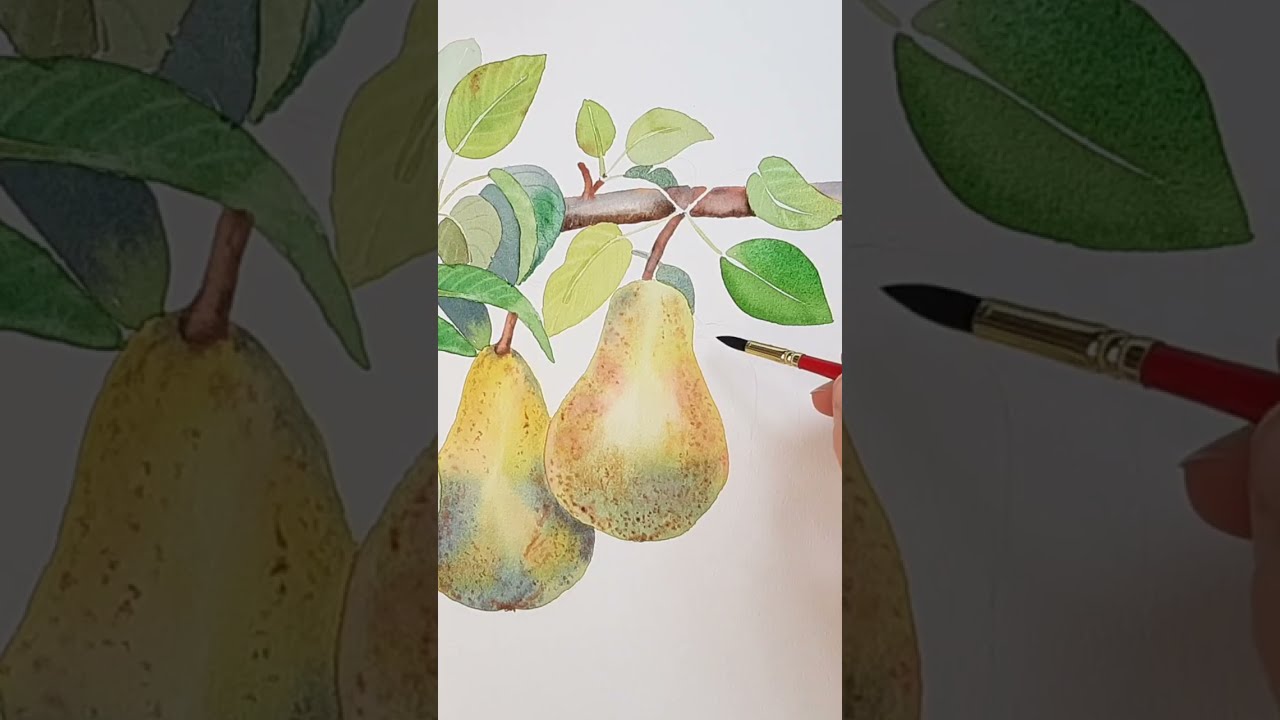 Peindre des POIRES réalistes à l’AQUARELLE 🍐 | Tutoriel - Extrait de Cours Aquarelle Nelly Rosso