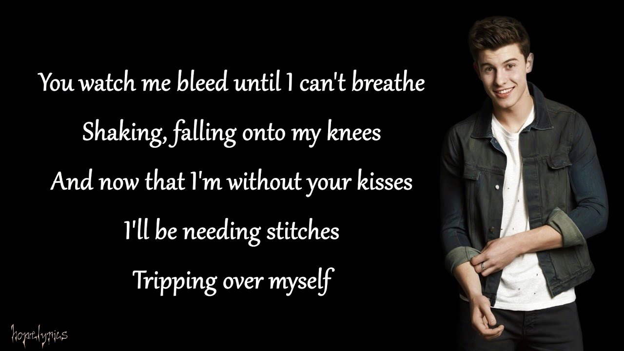 Shawn Mendes - Stitches (Lyrics)