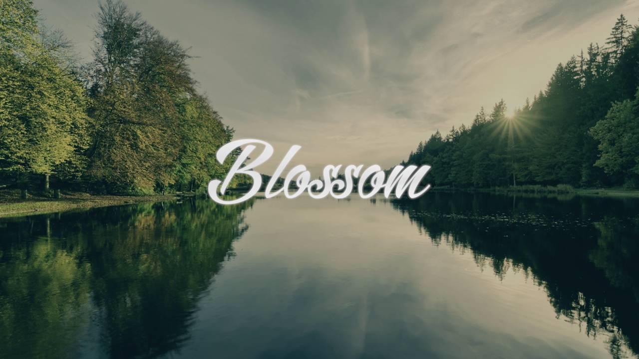 Jordyn Edmonds - Madness