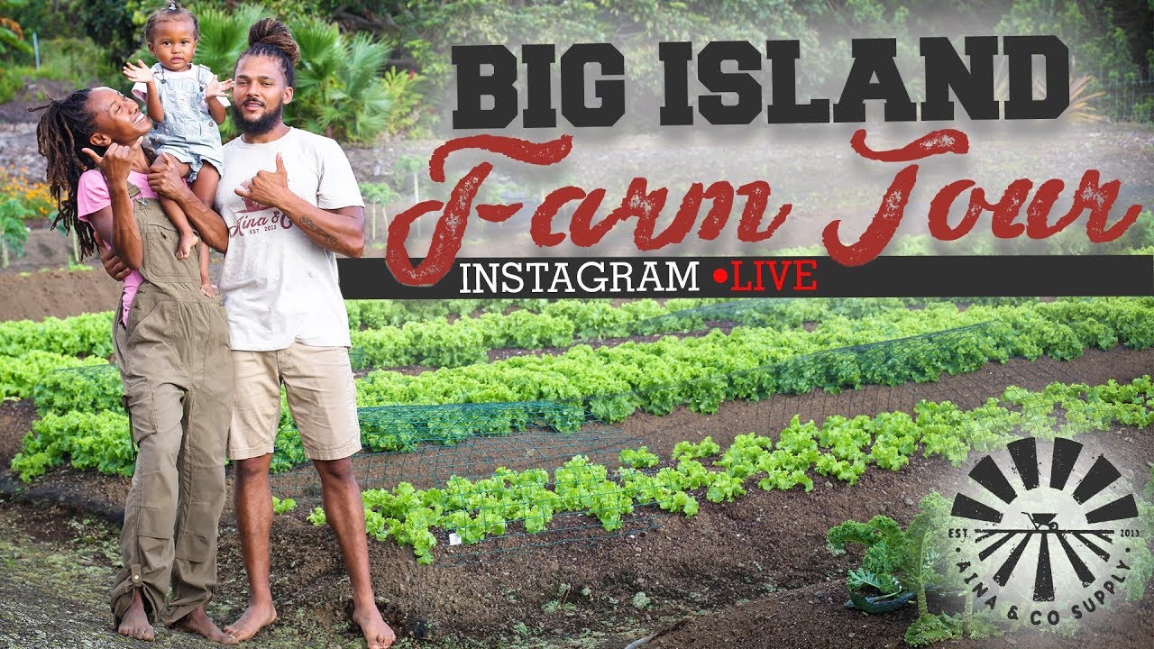Big Island Farm Tour