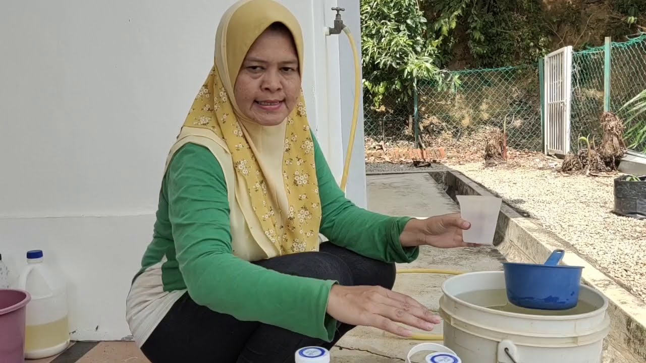 B) Cili Kulai & Keriting Usia 1 minggu /7hst.Baja AB + Trichobiome.. Mencegah Layu Fusarium
