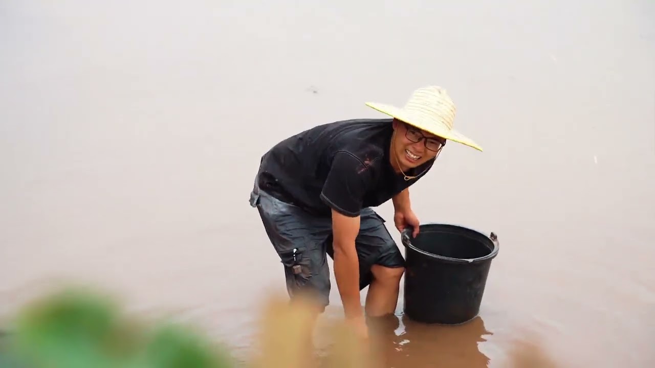 屋后菜园不大，但每个季节都有收获，摘点四季豆回家，干煸焖饭都很美味 #农村生活 #乡村守护人 #美食分享