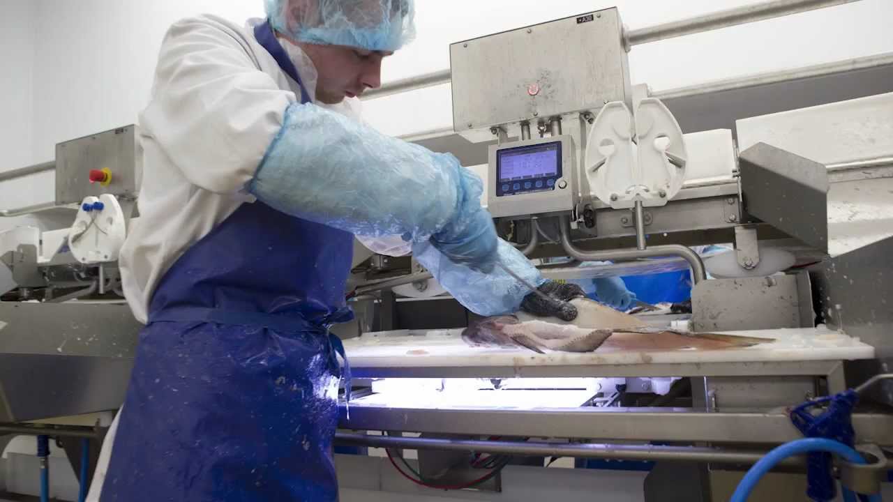 Customer story: Marel installation at Morrisons fish processing plant in Grimsby, UK