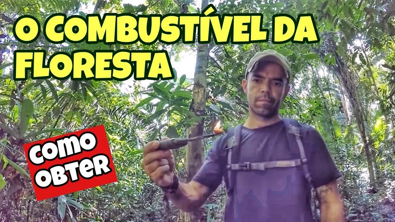 BREU BRANCO: COMBUSTÍVEL ANCESTRAL DA AMAZÔNIA | ENCONTRANDO UMA JIBÓIA NA MATA