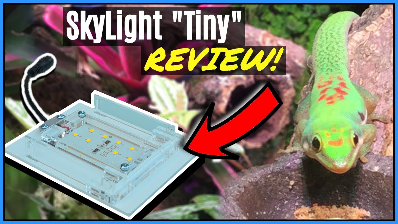 The BEST Plant Growth Lighting for Vivaria? SkyLight Tiny LED Review