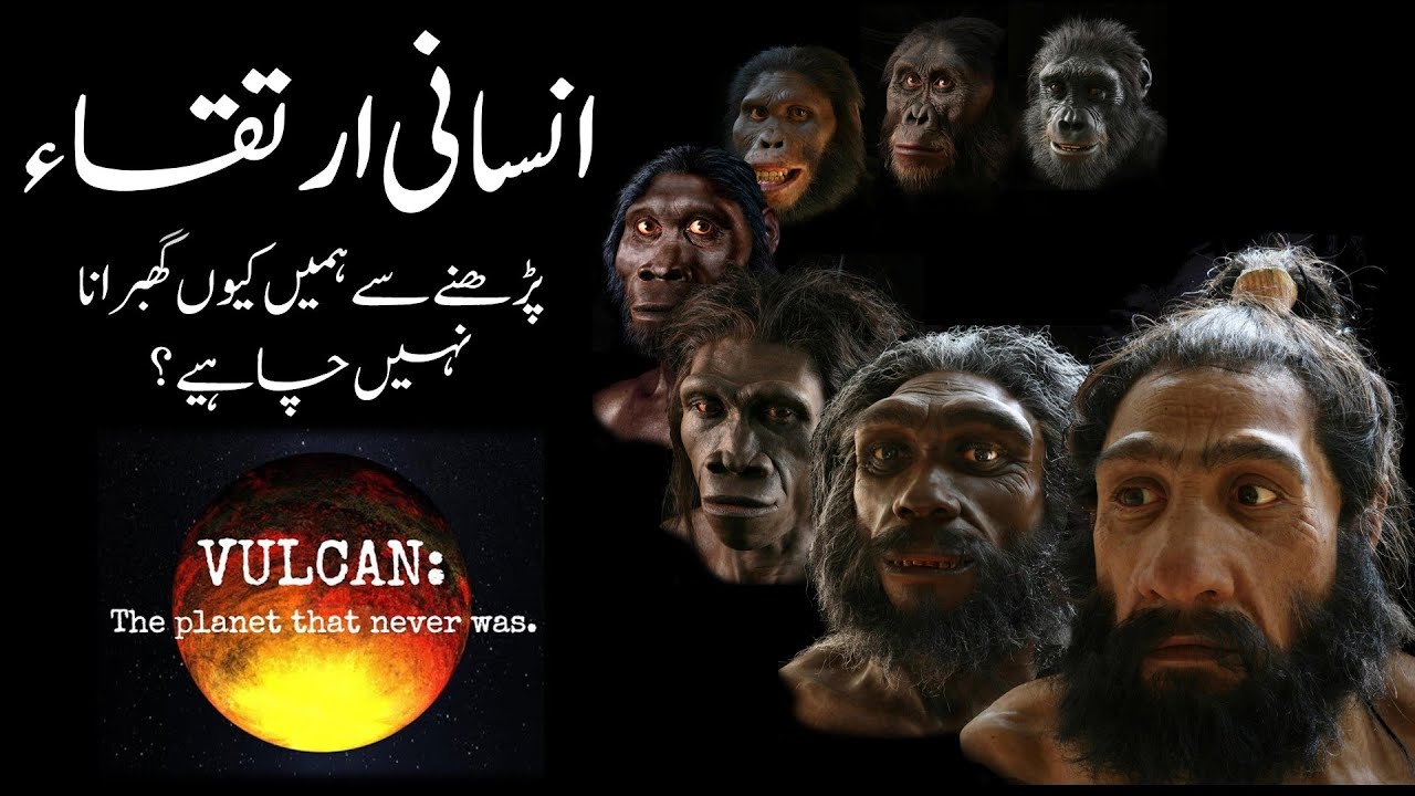 Human Evolution and Our Society