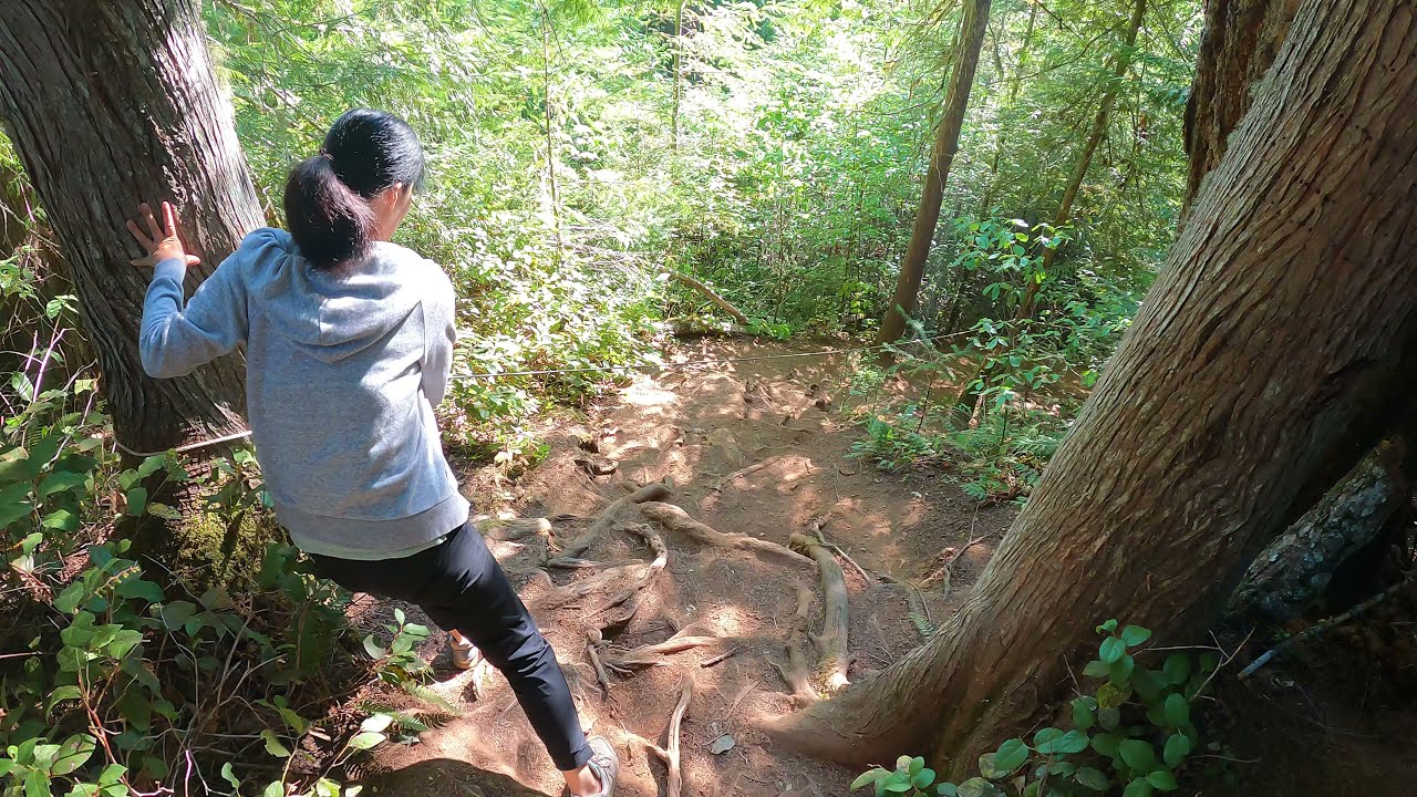 How to get to Trent River Falls on Vancouver Island (Jumping Off Them)