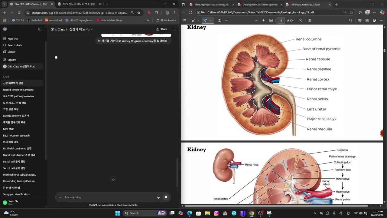 AI와 함께 알아보는 비뇨계통 조직학 A Guided Journey into Urogenital Histology with AI