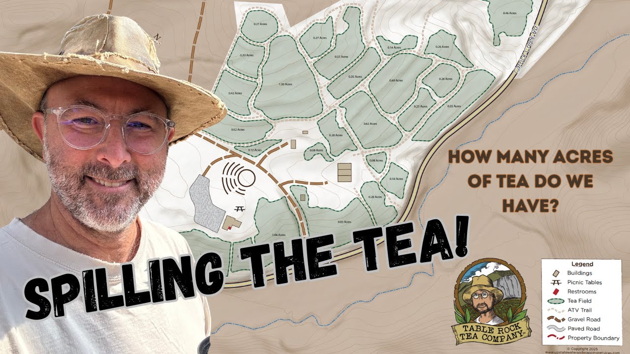 Spilling the Tea!  How many acres of tea do we grow?  US tea production is VERY small...