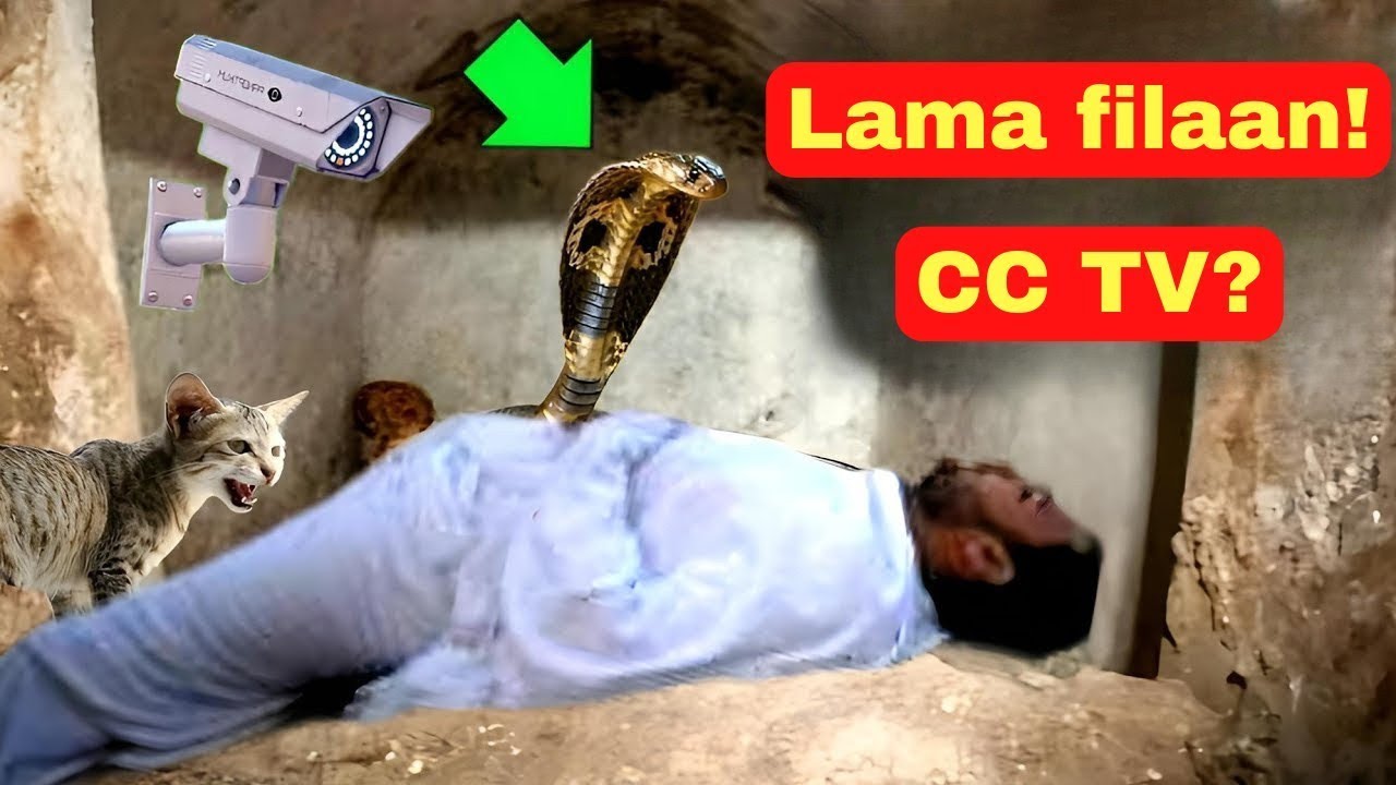 Kaamiro ayay qabriga u dhax geliyeen balse wixii ay ku soo arkeena mamaleysan kartid, mucjiso !