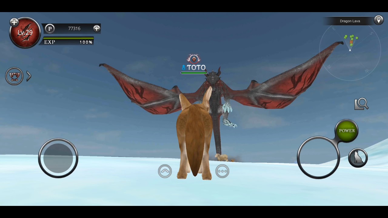 My Fennec ƬOƬO Getting Level 30 Wild Animals Online.