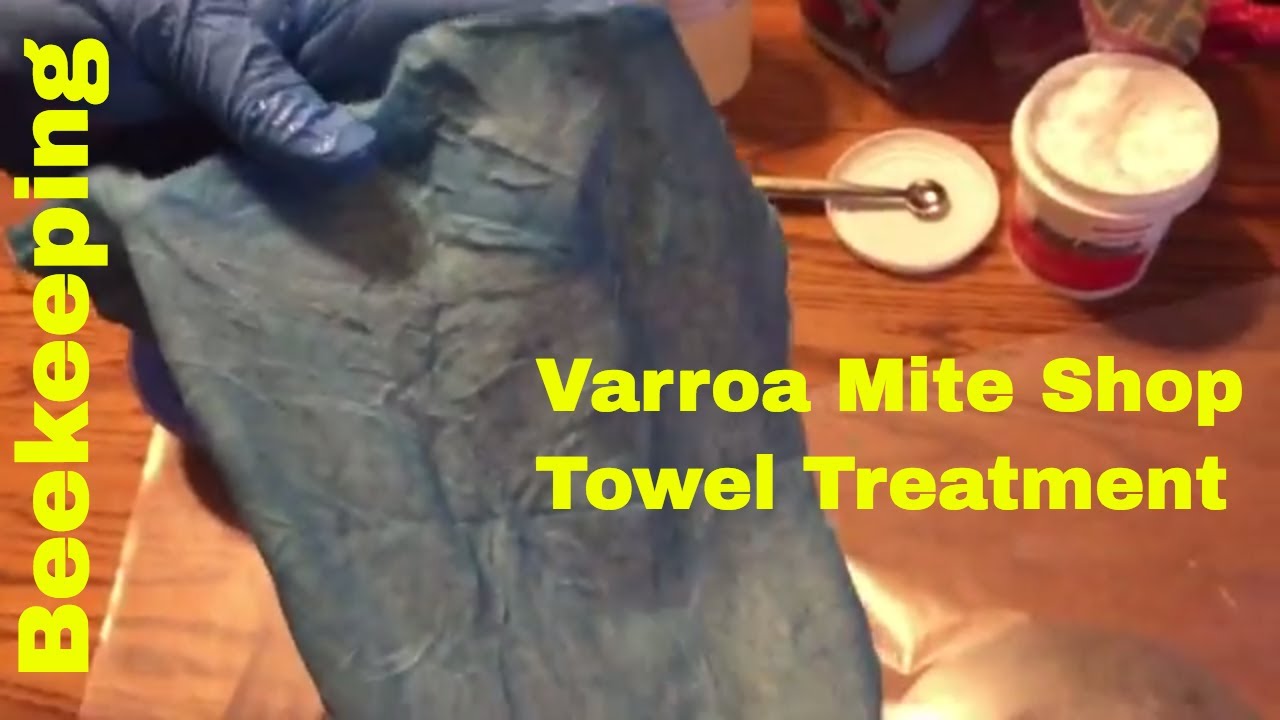 Oxalic Acid Varroa Mite Treatment: Shop Towel Method