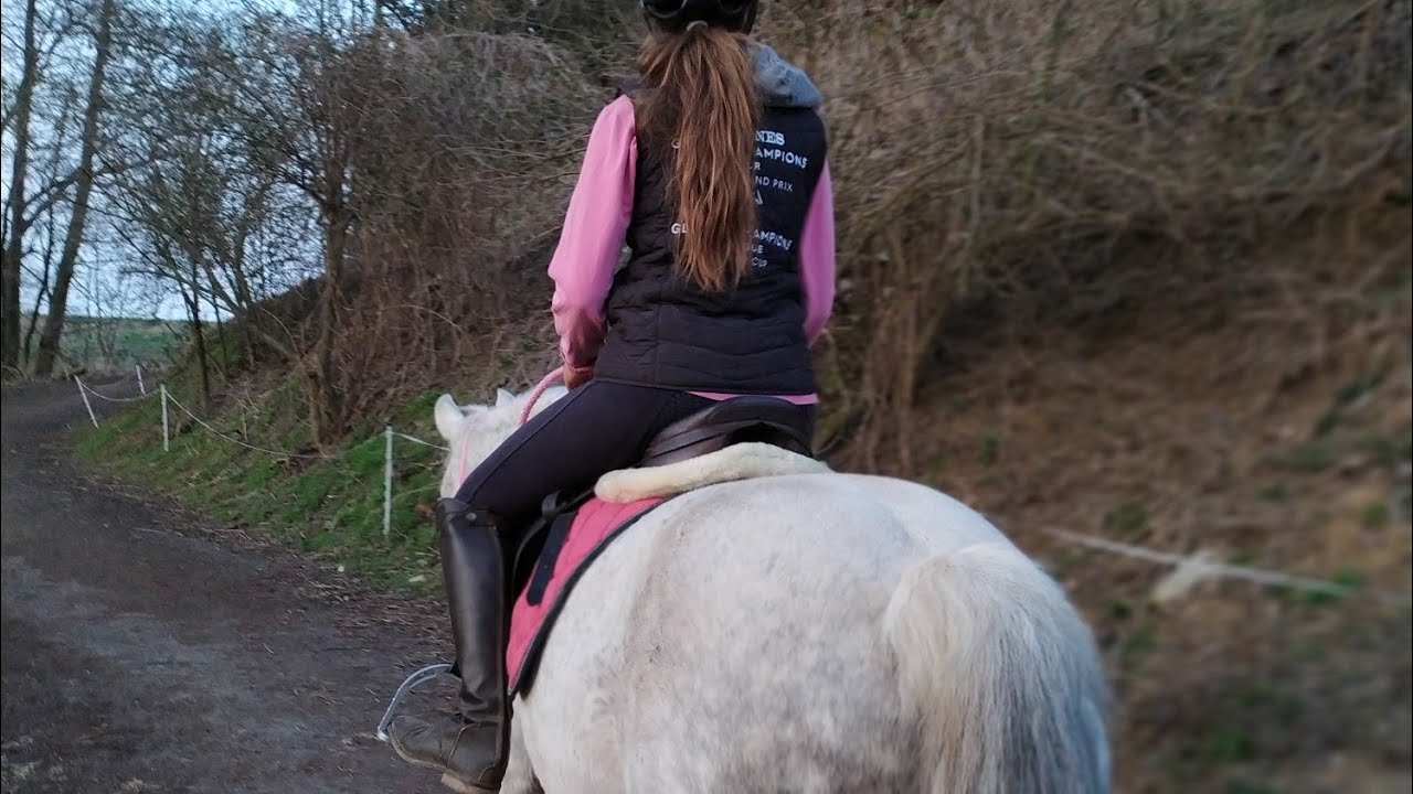 TRAINING WITH HORSES // our riding videos