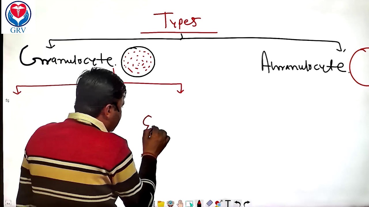 HSSC/DMER TARGET BATCH HEMATOLOGY