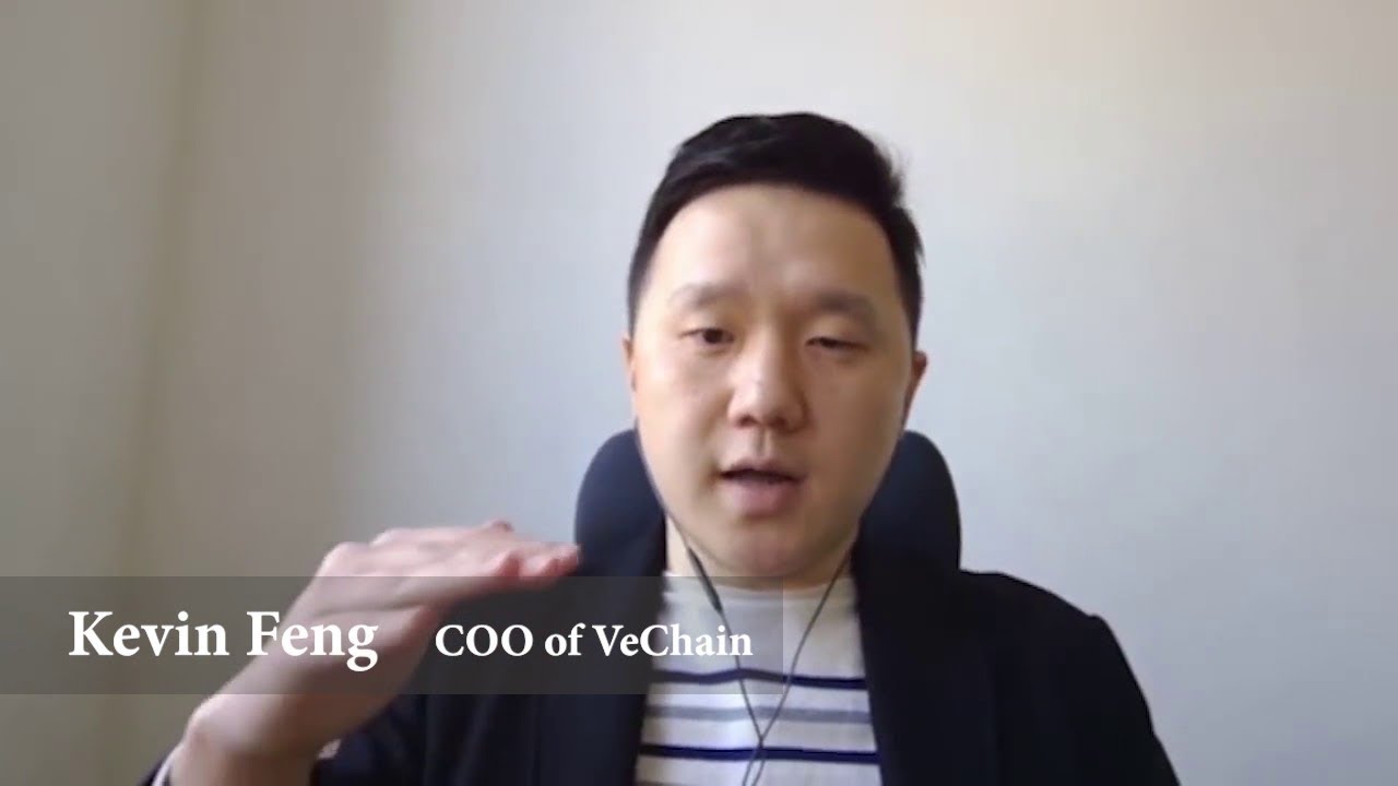 VECHAIN KEVIN FENG KEEPS FLYING HIGHER | BEN YORKE JOINS COINTELEGRAPH