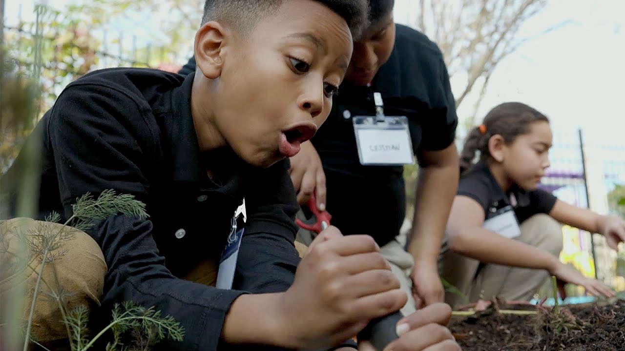 How Urban Schools Bring Lessons to Life Through Gardening