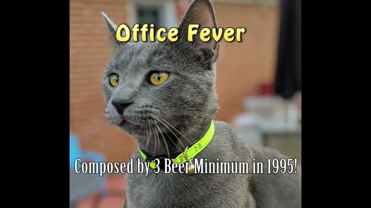 Office Fever - Three Beer Minimum 1995 #DemoScene