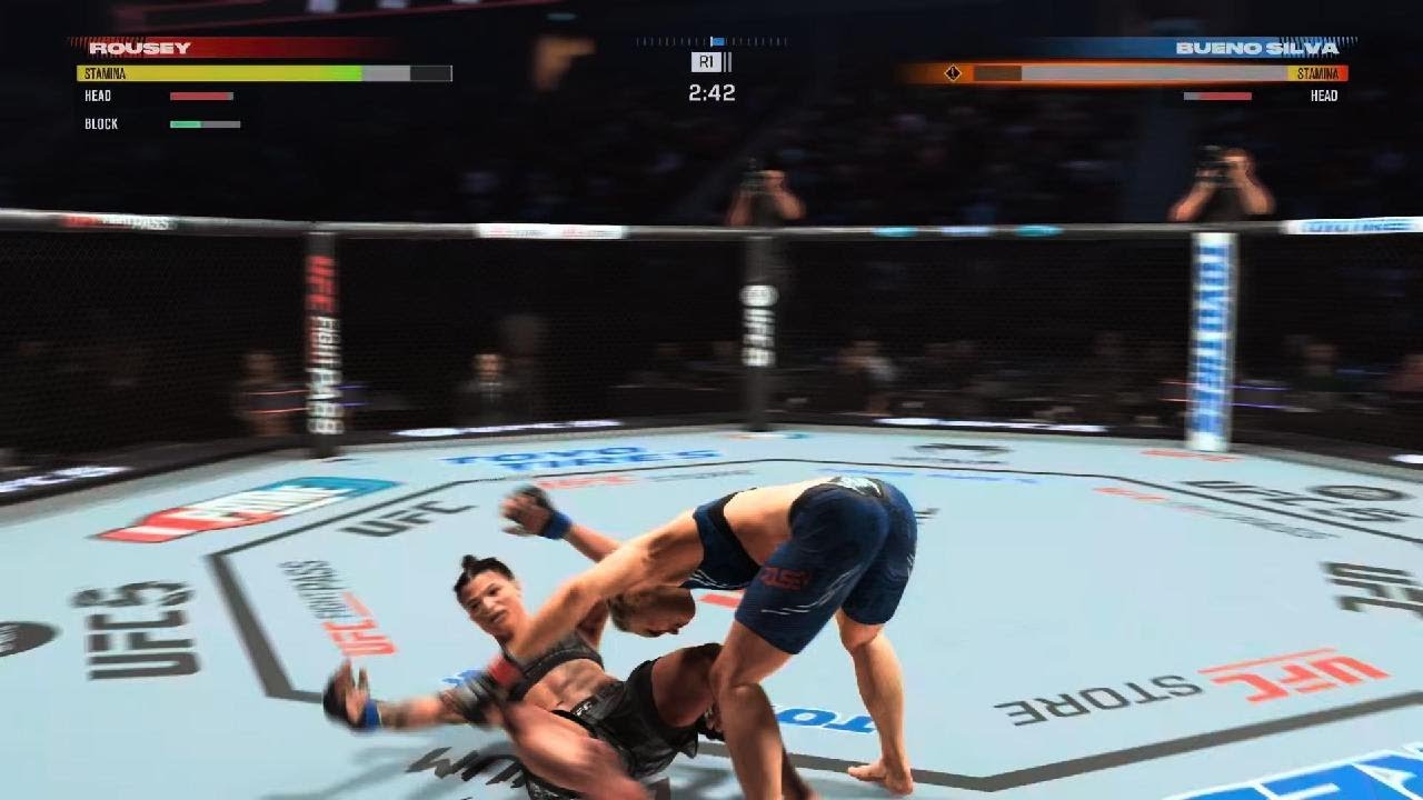Rousey VS Bueno Silva Women's Bantamweight Fight