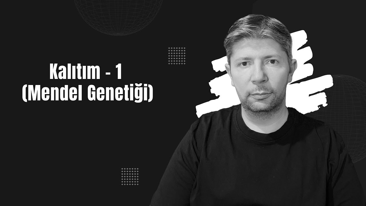 Kalıtım-1 (Mendel Genetiği) #biyoloji #sarmalbiyoloji #tytbiyoloji #genetik #kalıtım
