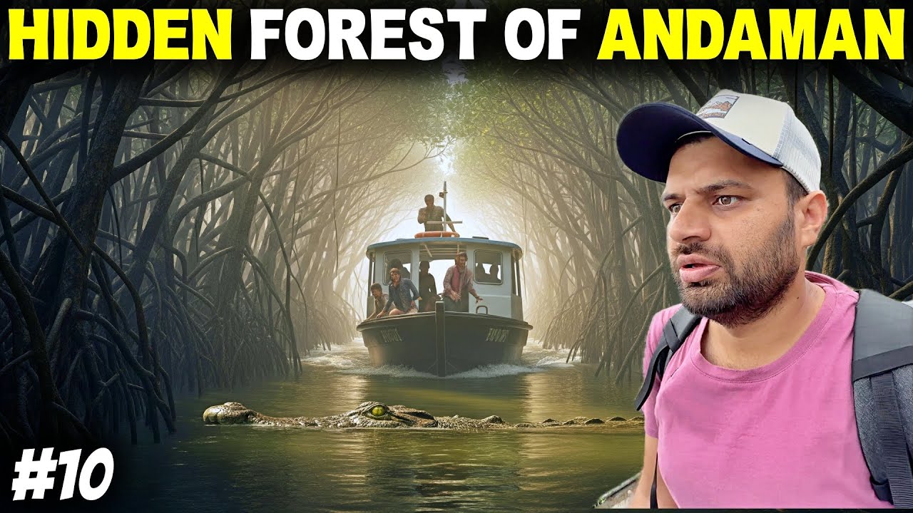 Inside Andaman’s Hidden Forest - Crocodiles in Andaman