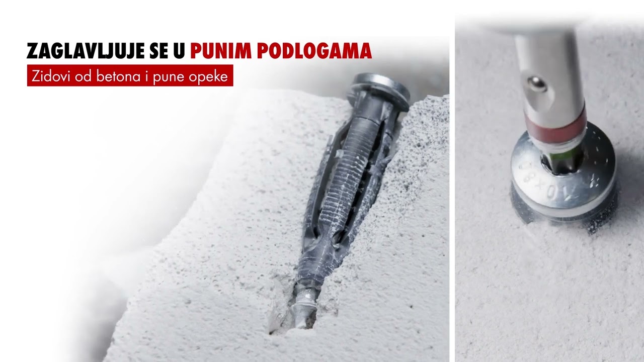 Zebra Shark - najsvestraniji plastični tipl