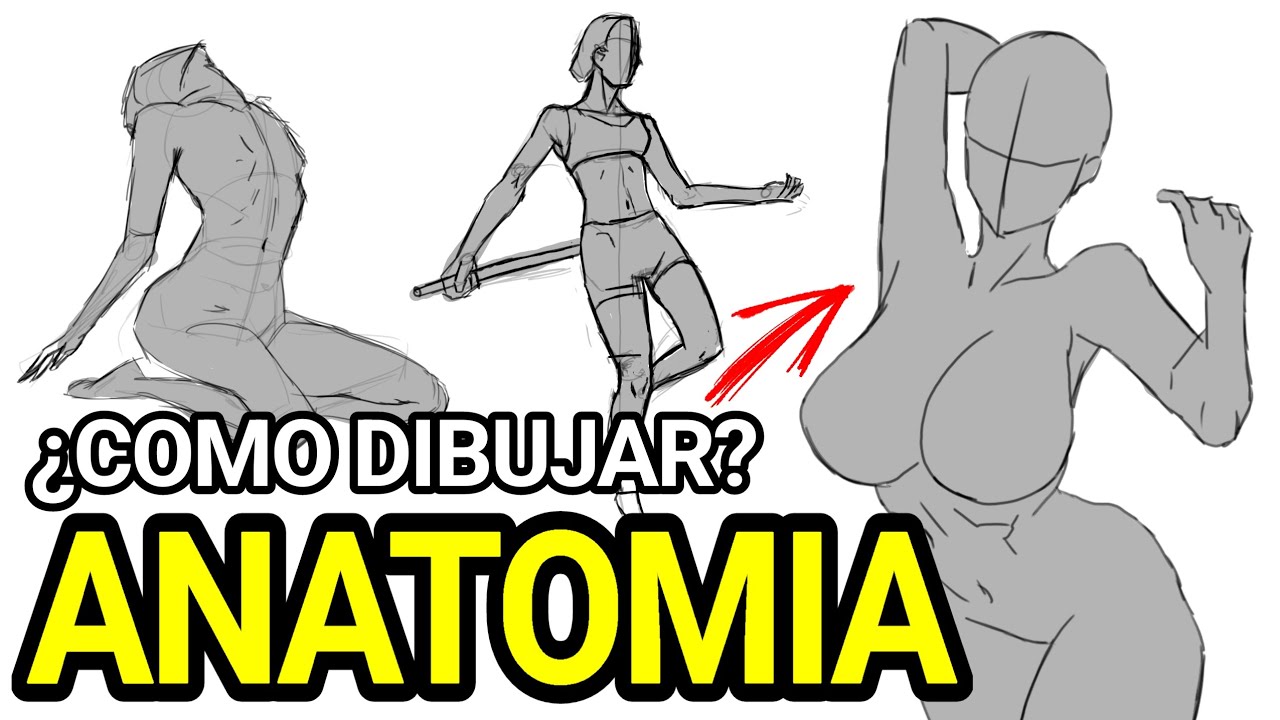Como dibujar ANATOMIA de manera sencilla.