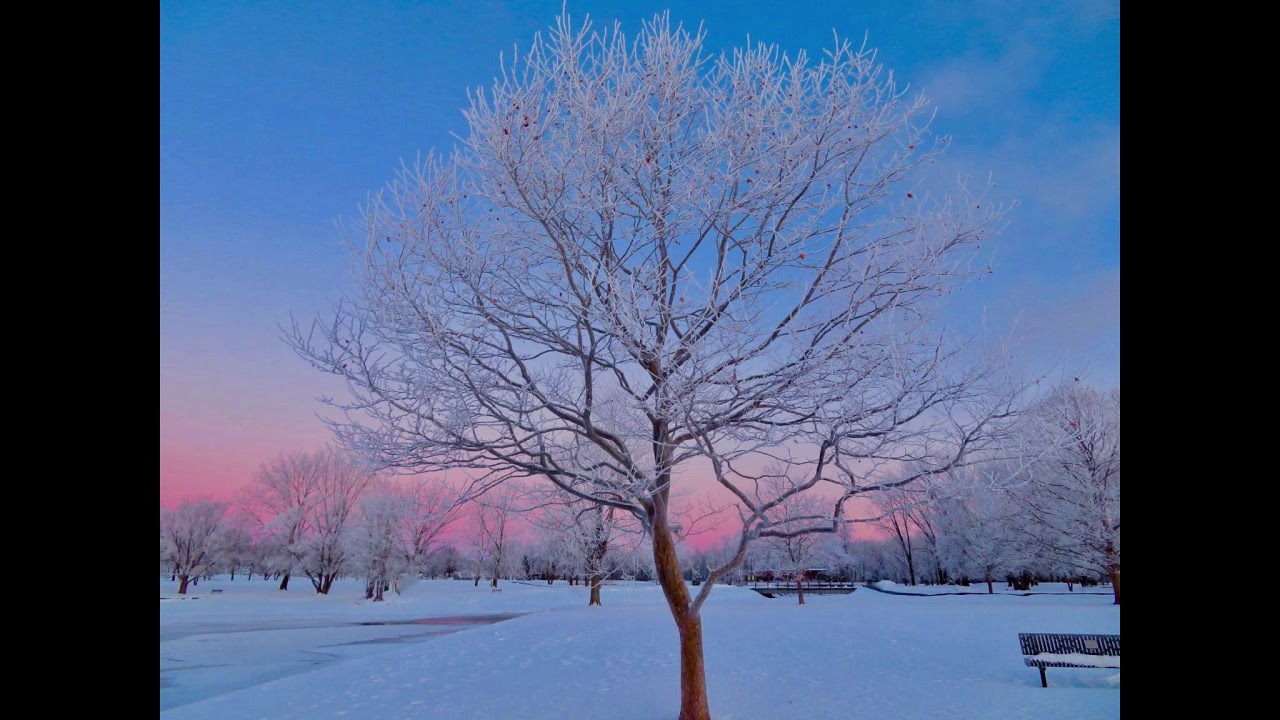 &ldquo;Falling Snow&rdquo; by Bob Piorun with photos by Todd Tanner