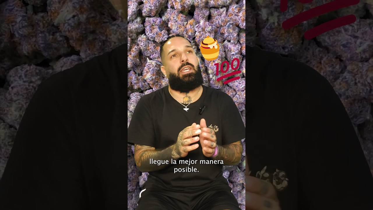 C&oacute;mo conservar tus COGOLLOS | CULTIVO DE CAMPEONES