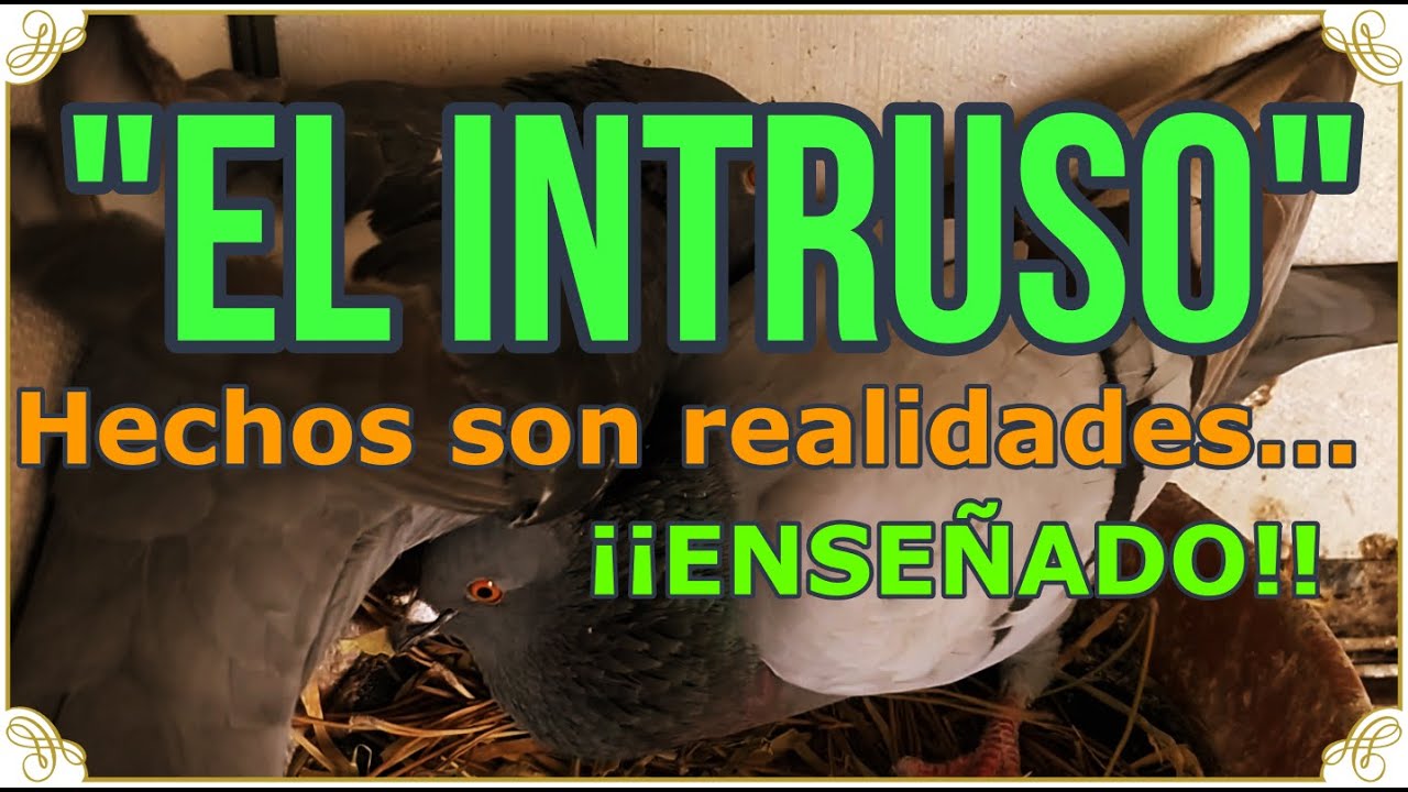 Hechos son realidades... 😜😙 