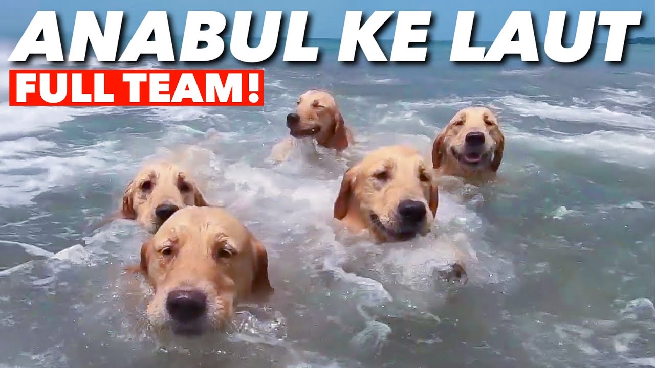 SEMUA ANABUL DIAJAK KE PANTAI CARITA!!! HEBOOOHH!!!