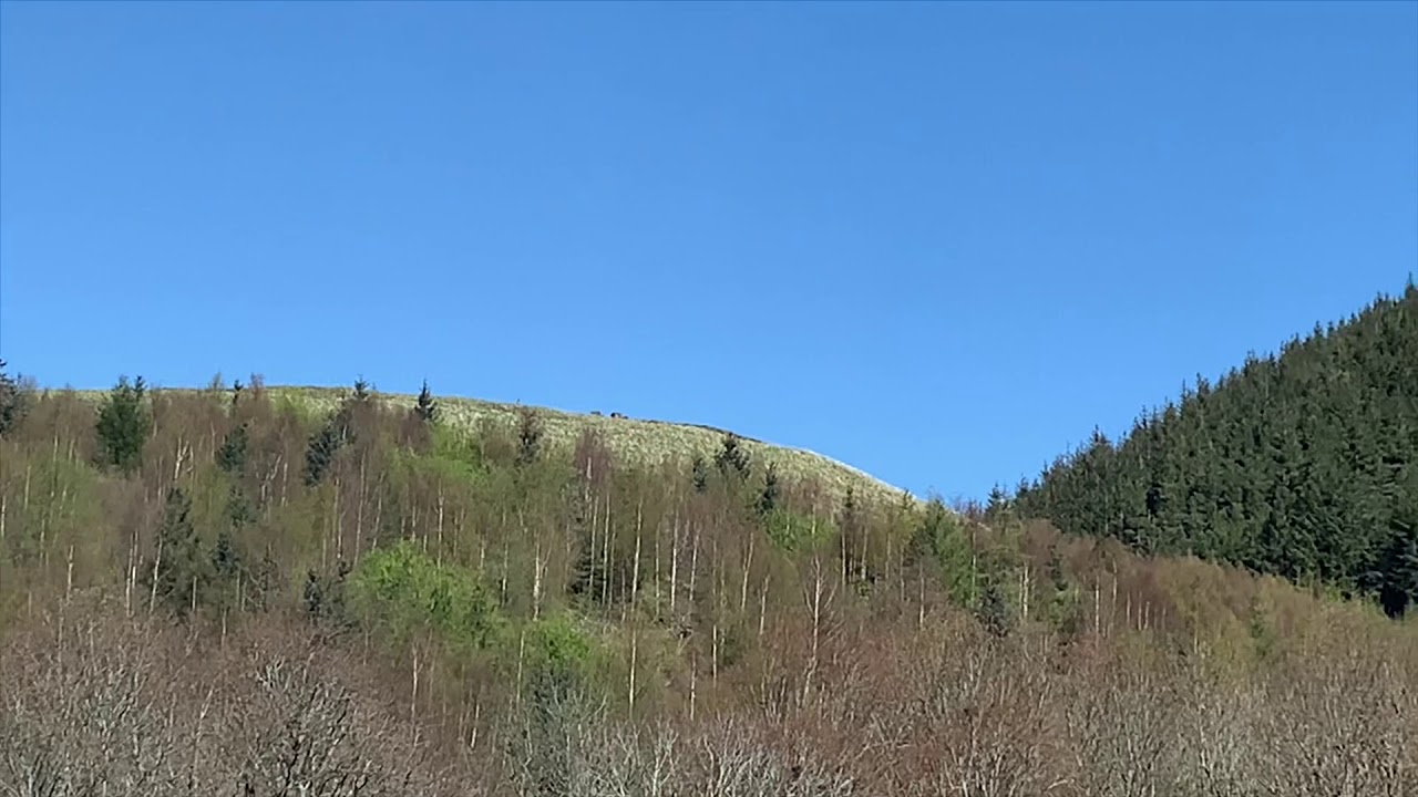 Innerleithen Hill Fort