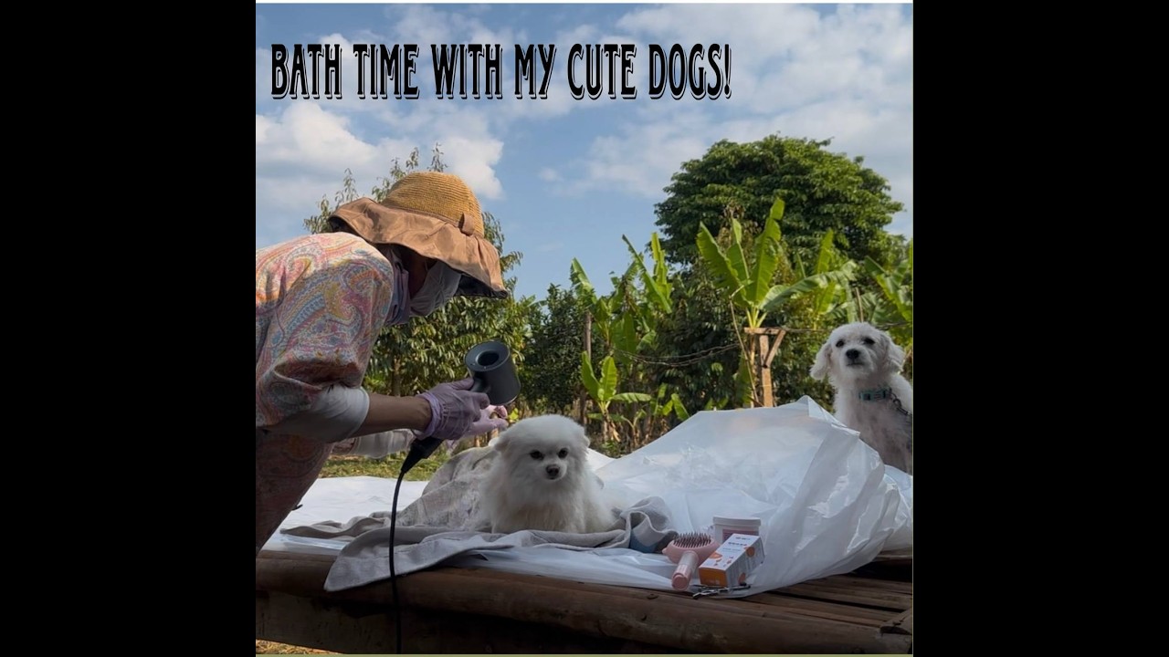 Bath Time with My Lovely Dogs | Happy & Cute Moments Together