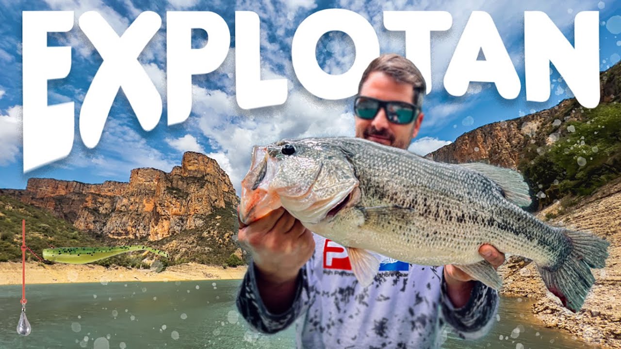 Black Bass en Primavera - Damos con la tecla!! #47