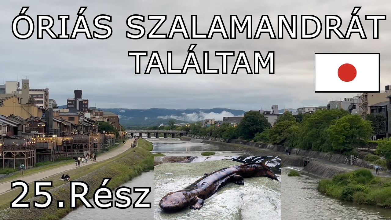 ÓRIÁS SZALAMANDRÁT TALÁTAM KYOTOBAN | 25.RÉSZ | 🇯🇵