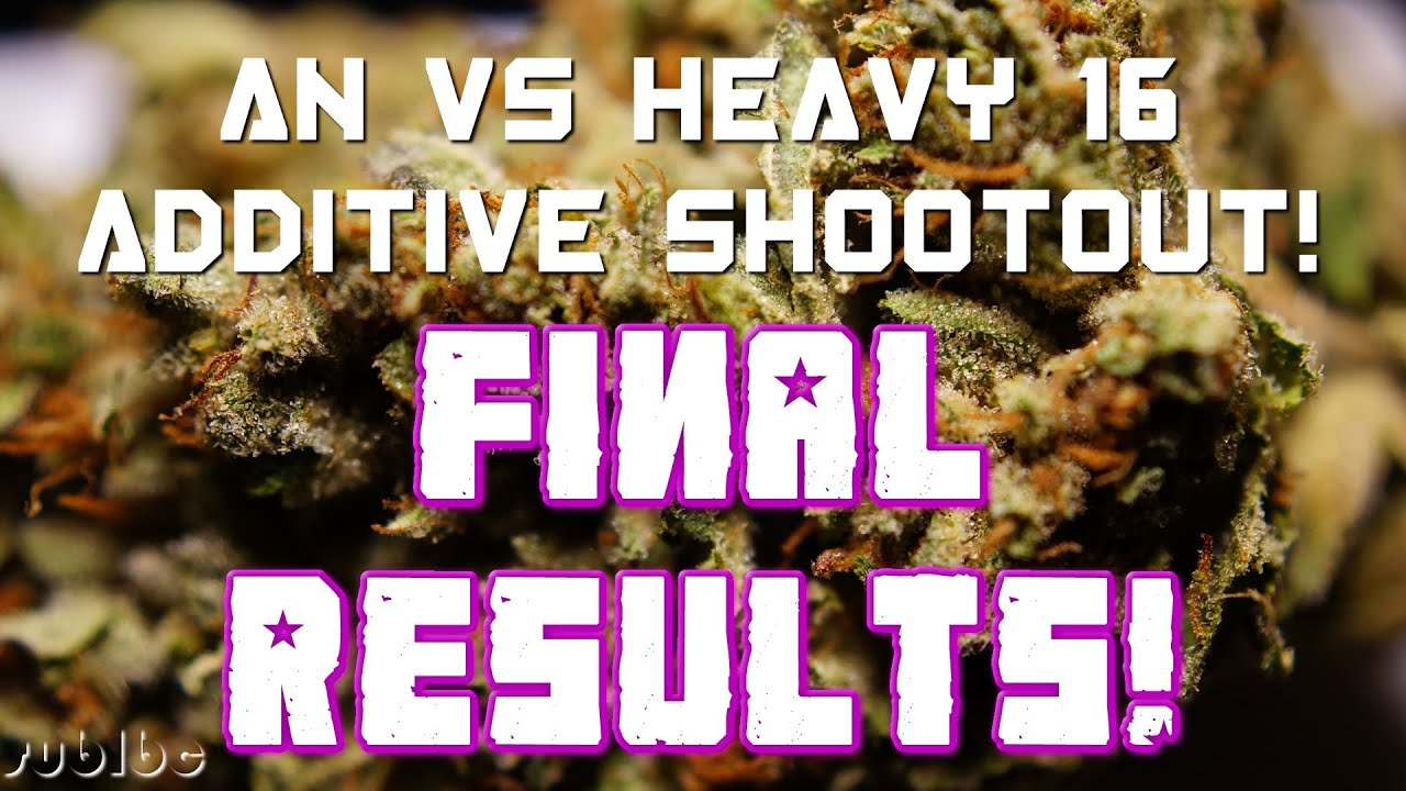 AN vs Heavy 16 Additive Shootout - FINAL - Money Maker SFVOG