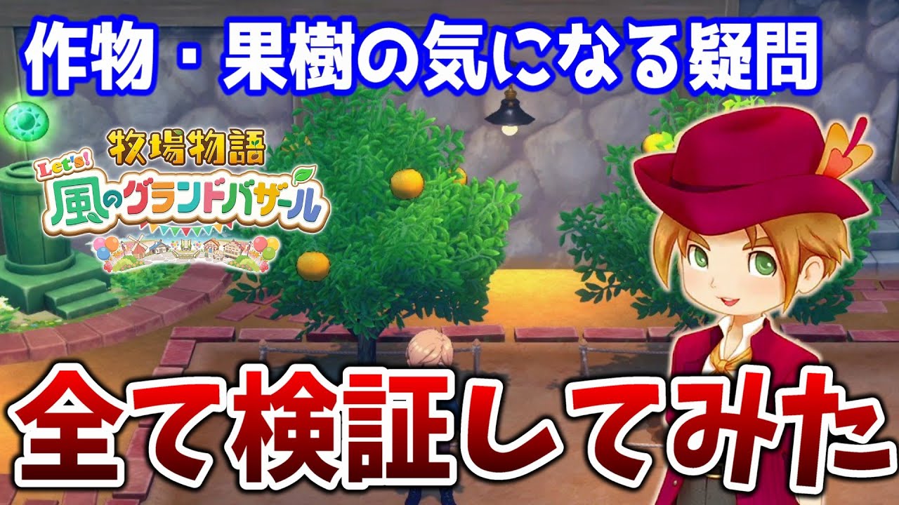 【牧場物語 風のグランドバザール】作物・果樹の気になる疑問を全て検証してみた【グラバザ】