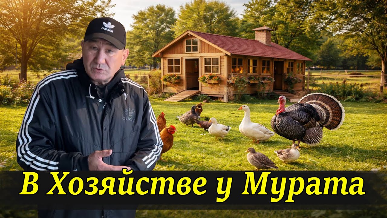 В Хозяйстве у Мурата///Лучший рецепт корма для вашего Хозяйства
