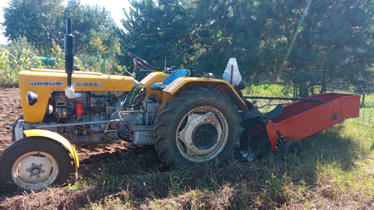 Kopaczka jednorzędowa taśmowa. Wykopki ziemniaków ursus 2023