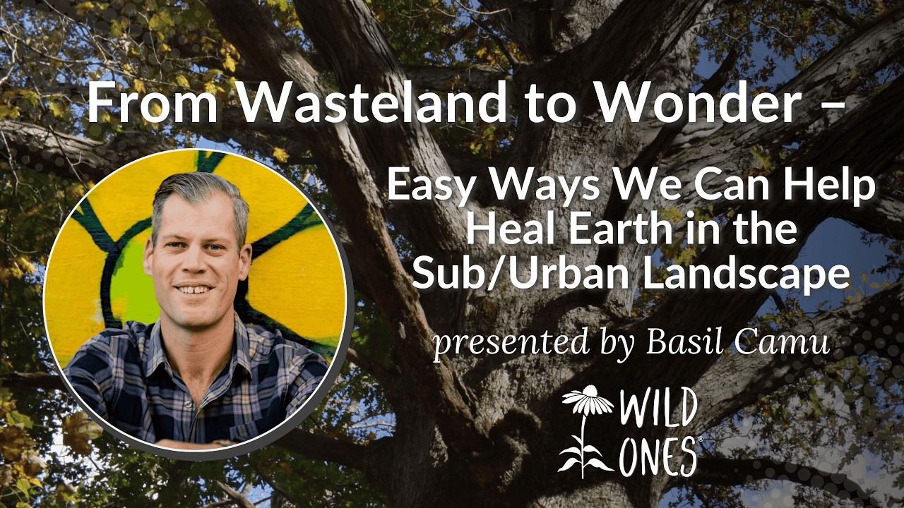 From Wasteland to Wonder &ndash; Easy Ways We Can Help Heal Earth in the Sub/Urban Landscape